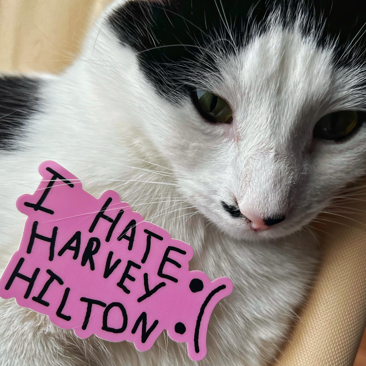 I HATE HARVEY HILTON Stickers